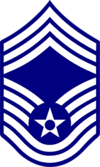 <p>Air Force: E-9</p>