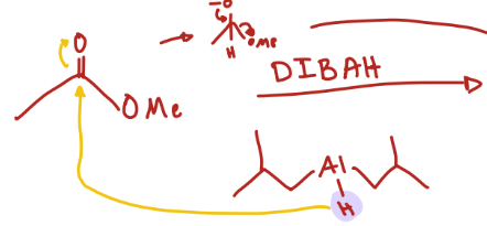 <p>Ester + DIBAH</p>