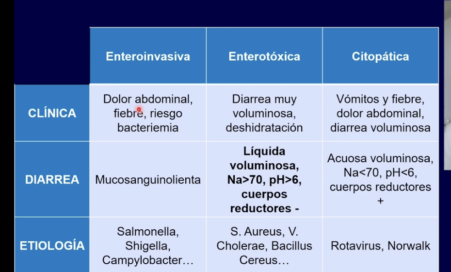 <p>Shigella—> sexo anal </p>