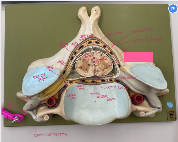 <p>What is being shown? </p>