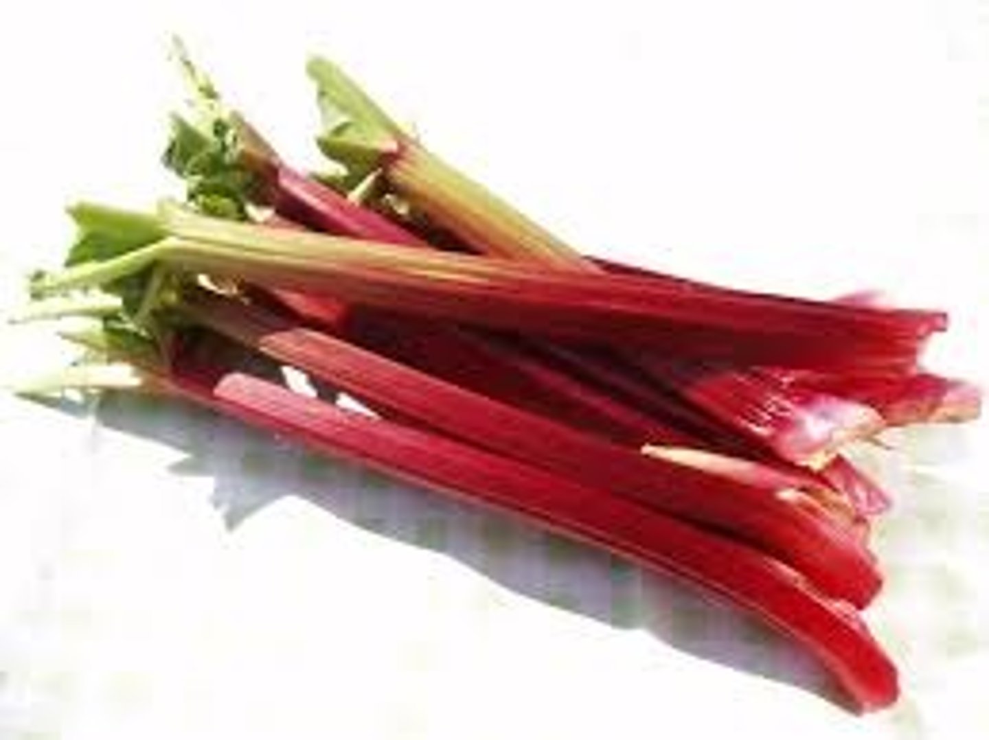 <p>la rhubarbe</p>