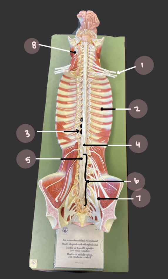 <p>Point 4</p>