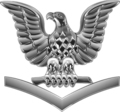 <p>One eagle above chevron</p>