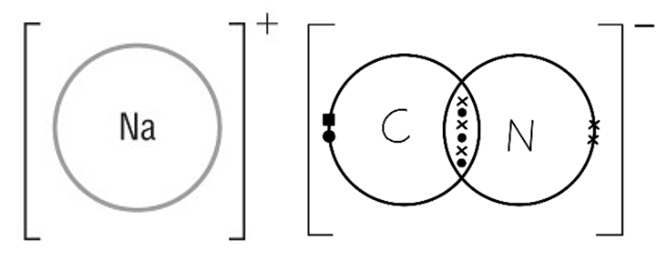 knowt flashcard image