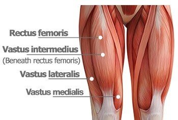 <p>deep to rectus femoris </p>