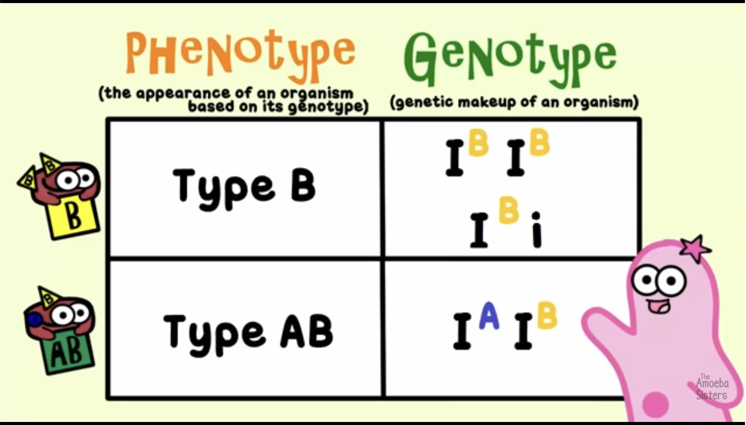 <p>What is a phenotype</p>