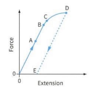 <p>Describe A, B, C, D, D-E in relation to Hooke’s law</p>