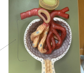 <p>name the parts</p>
