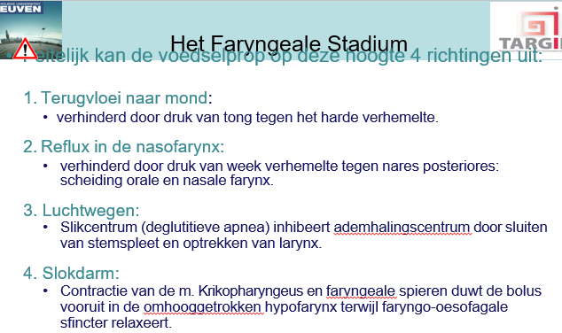 <p><span>Eens bolus hier is kan blus 4 richtingen uit</span></p><p style="text-align: left;"></p><p style="text-align: left;"><span>1: tong belet dat eten terug naar mond gaat</span></p><p style="text-align: left;"></p><p style="text-align: left;"><span>2: week verhemelte vormt naar achter toe een scheiding tussen de orale en nasale pharynx.</span></p><p style="text-align: left;"><span>Dit kan een reden zijn bij mensen met een gespleten lip dat tijdens eten het eten terug komt door de neus.</span></p><p style="text-align: left;"></p><p style="text-align: left;"><span>3: verhindert door deglutitieve apnea, zodat je niet kunt inadmenen tijdens slikken zelf</span></p>