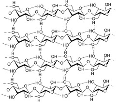 <p>hydrogen bonds</p>