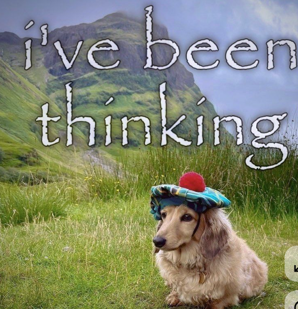 <ul><li><p><span style="background-color: transparent; font-family: "Times New Roman", serif;"><strong><em><u>2001: US Anthrax Attacks</u></em></strong></span></p><ul><li><p><span style="background-color: transparent; font-family: "Times New Roman", serif;">The idea that someone with technical ability could deliberately intend to harm</span></p></li></ul></li><li><p><span style="background-color: transparent; font-family: "Times New Roman", serif;"><strong><em><u>2005: The National Security Advisory Board on Biosafety (NSABB) formed</u></em></strong></span></p><ul><li><p><span style="background-color: transparent; font-family: "Times New Roman", serif;">Tasked with providing advice on dual-use research in biosciences</span></p></li><li><p><span style="background-color: transparent; font-family: "Times New Roman", serif;">Advisory body</span></p></li></ul></li><li><p><span style="background-color: transparent; font-family: "Times New Roman", serif;"><strong><em><u>2010: The US Select Agent List was created</u></em></strong></span></p><ul><li><p><span style="background-color: transparent; font-family: "Times New Roman", serif;">Studies on particular toxins or pathogens</span></p></li><li><p><span style="background-color: transparent; font-family: "Times New Roman", serif;">Studies that could make these entities more dangerous</span></p></li><li><p><span style="background-color: transparent; font-family: "Times New Roman", serif;">Biosafety level concerns</span></p></li><li><p><span style="background-color: transparent; font-family: "Times New Roman", serif;">Need to get approval for work with “select agents”</span></p></li></ul></li></ul><p></p><p></p>