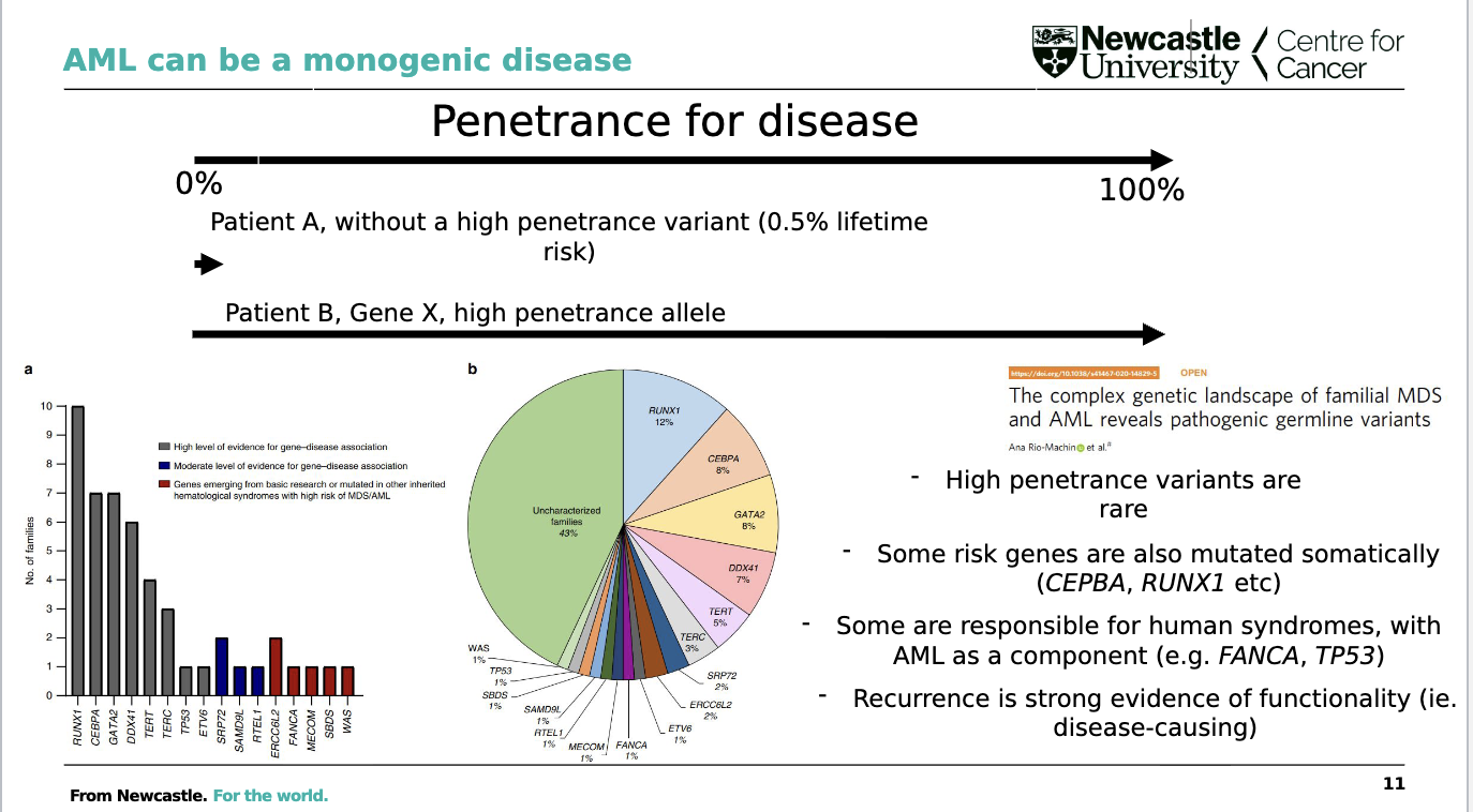 <p>Some individuals carry <strong>rare, high-penetrance germline variants</strong> that greatly increase their lifetime risk of AML</p><ul><li><p>compared with ~0.5% risk in people without a high-penetrance variant.</p></li></ul><p></p>