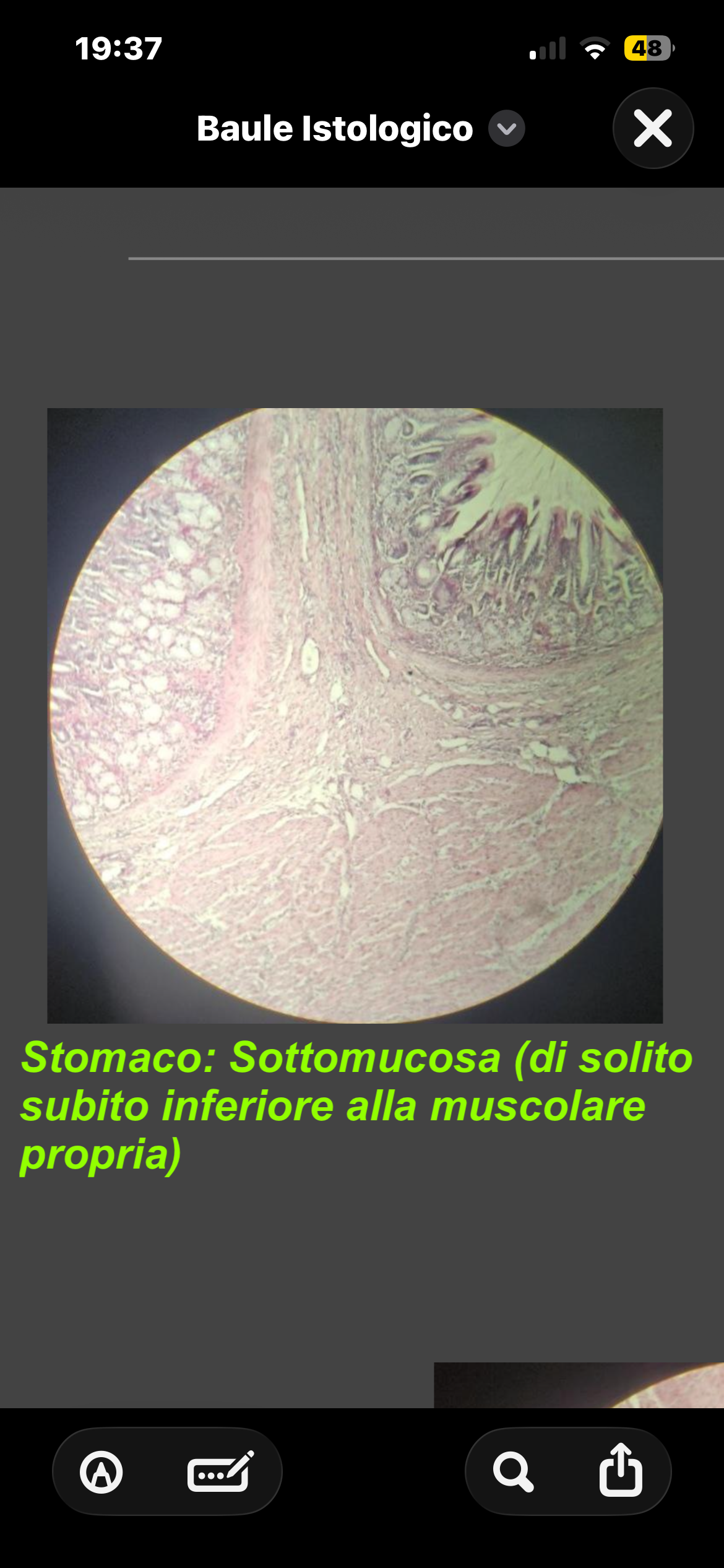 knowt flashcard image