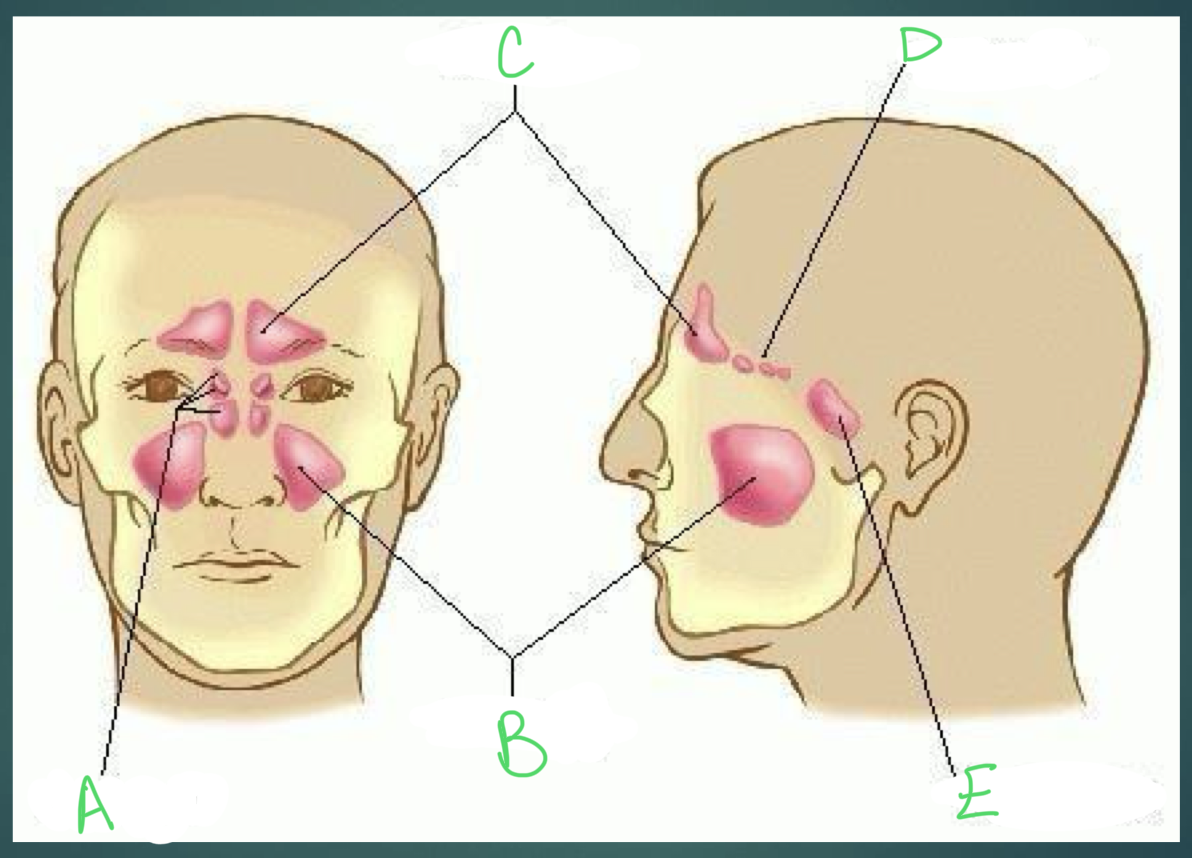 <p>c?</p>