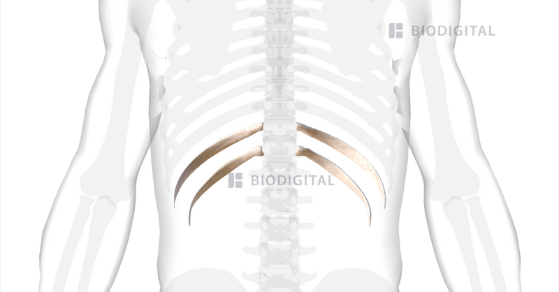 <p>Name this structure</p>