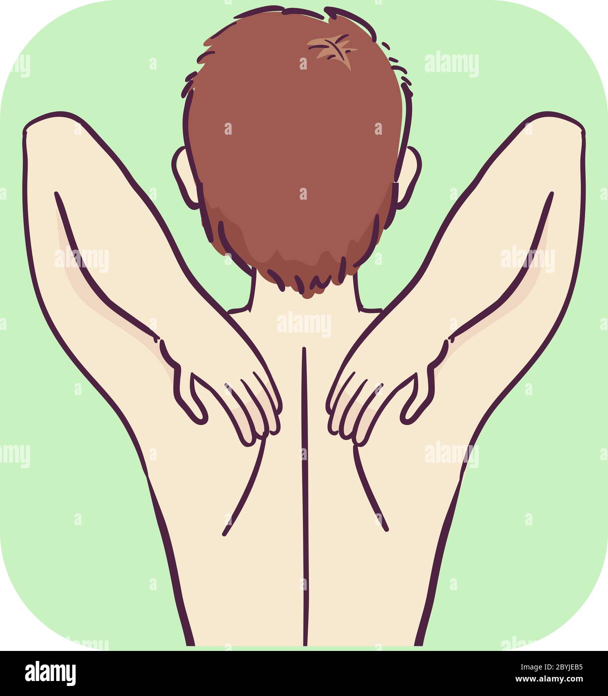 <p>shoulder blade</p>
