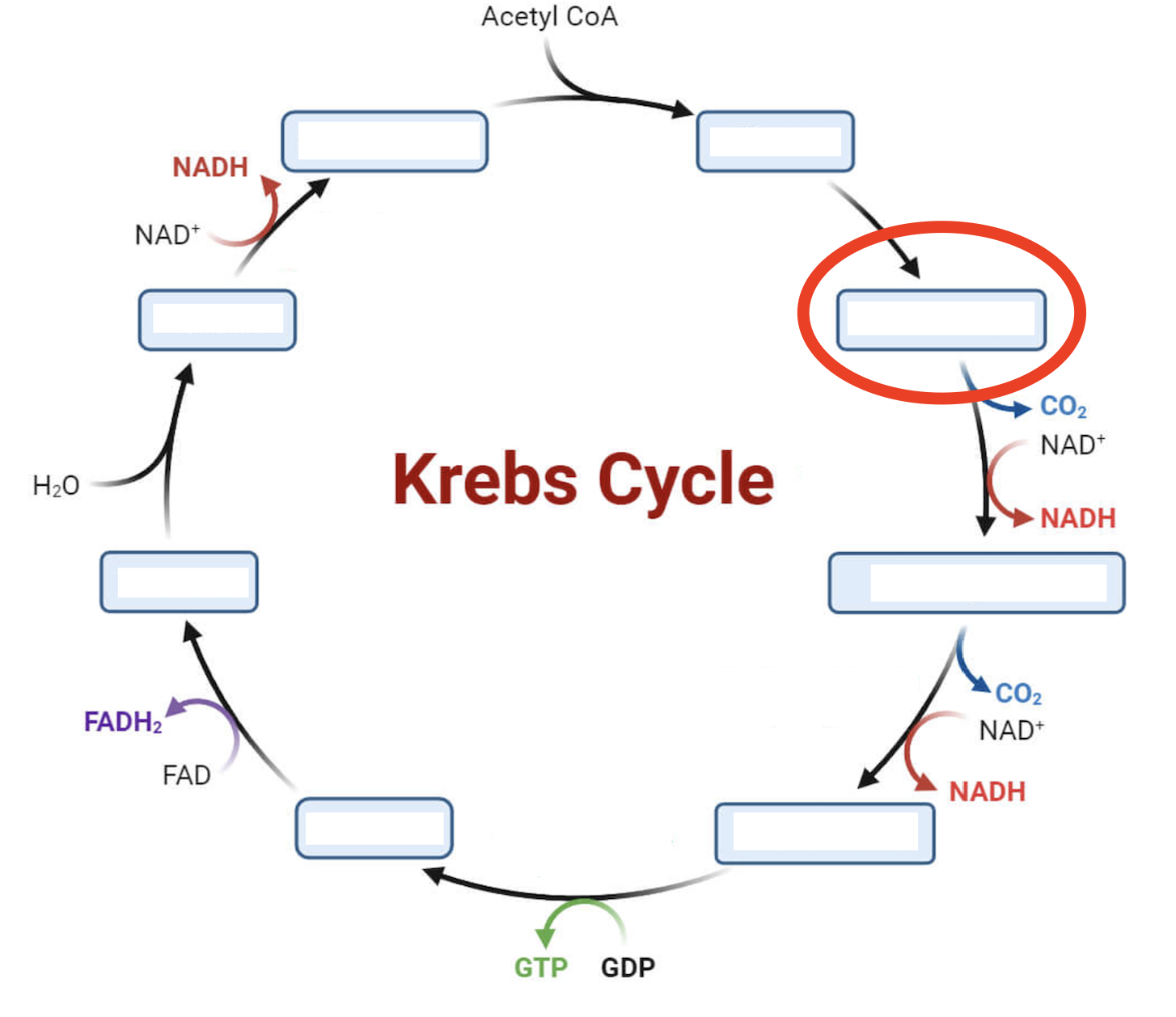 <p>Intermediate 2</p>
