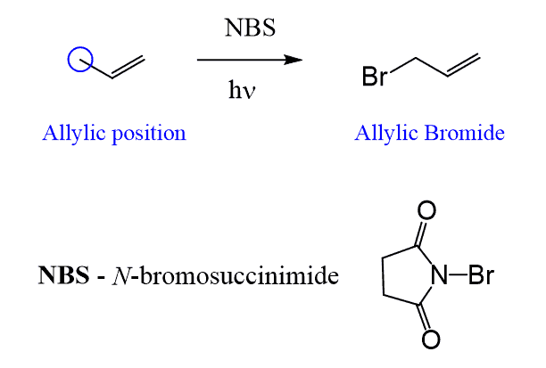 <p>N-Bromosuccinimide: Purpose: Adds Br ONLY to allylic carbons. NOT across double bonds. Need: NBS & Light or peroxide <strong>Makes:<u> </u></strong><u>allylic bromides.</u> <strong>NBS (N-bromosuccinimide) needs radical conditions to work.</strong> That usually means <strong>light (hν)</strong> or a <strong>radical initiator such as a peroxide (ROOR)</strong>.</p>