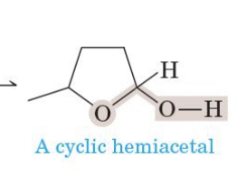 <p>OH, C=O, 5 to 6 carbon ring </p>
