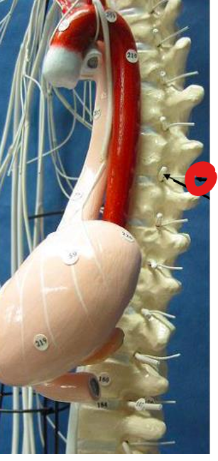 <p>What is this structure </p>