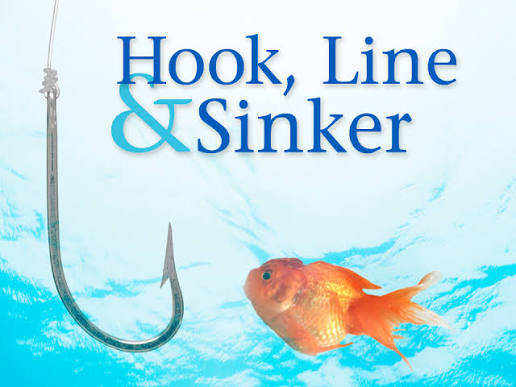 <p><strong>hook line and sinker</strong></p>