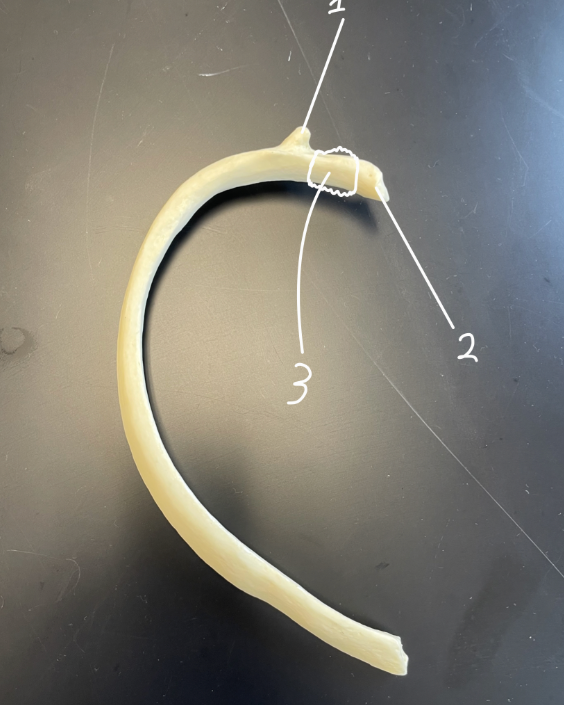 <p>1</p>
