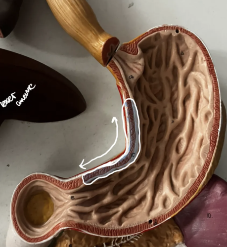 <p>Identify structure</p>