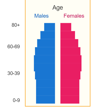 <p>stationary population pyramid</p>