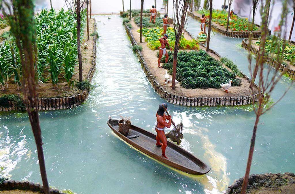 <p>Chinampas</p>