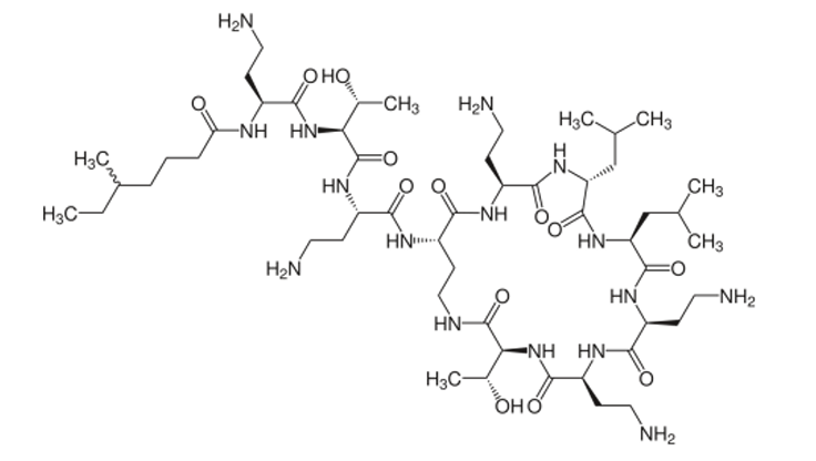 <p>[POLYMYXINS]</p><p>a. Polymyxin B</p><p>b. Colistin / Polymyxin E</p><p>c. Gramicidin A</p><p>d. Daptomycin</p>