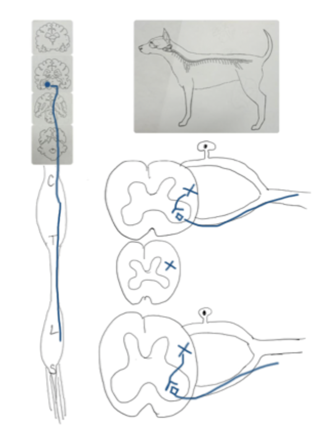 <p>What tract is this?</p>