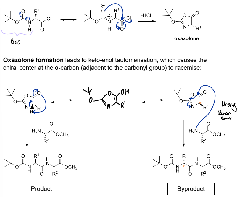<p>Oxazolone formation leads to keto-enol tautomerisation, which causes the chiral center at the α-carbon (adjacent to the carbonyl group) to racemise</p>