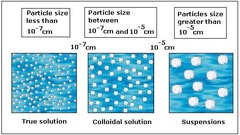 <p>a mixture containing small, undissolved particles that do not settle out; cloudy</p>