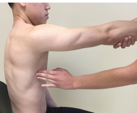 <p>sitting w/ arm flexed to 90 degrees, support distal to elbow IF NEEDED</p><p>“try to reach your arm forward”</p>