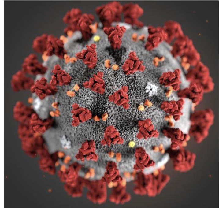 <p>what <strong>structure</strong> virus is this?</p>