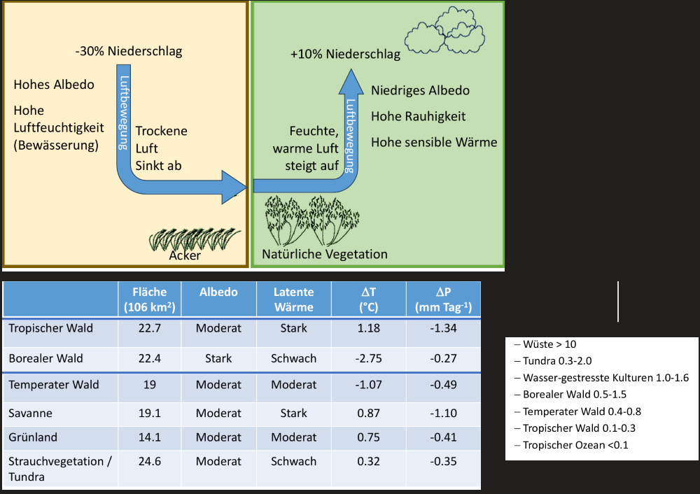 <ul><li><p>B = H/<span style="font-family: "Cambria Math";">𝜆</span>E -> charakterisiert Einfluss von Wasser auf Energiehaushalt</p></li><li><p>Je kleiner B desto höher der Einfluss von Wasser auf Energiehaushalt</p></li></ul><p>Ökosysteme absteigend geordnet</p><ul><li><p>Wüste</p></li><li><p>Tundra </p></li><li><p>wassergestresste Kulturen</p></li><li><p>Borealer Wald</p></li><li><p>temperater Wald</p></li><li><p>tropischer Wald</p></li><li><p>tropischer Ozean</p></li></ul><p></p>