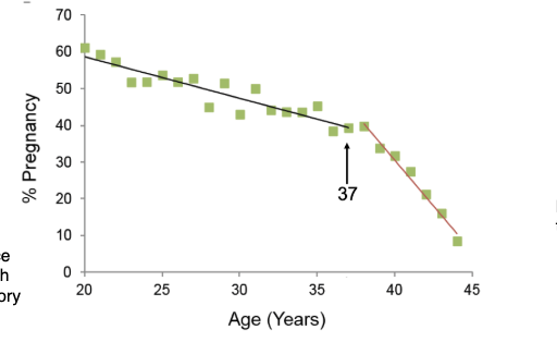 <ul><li><p>Fertility <strong>gradually declines with age</strong></p></li><li><p>Relatively stable until ~<strong>37 years</strong></p></li><li><p>Then <strong>sharp decline</strong></p></li><li><p>Based on natural fertility populations (no contraception)</p><ul><li><p>Gradual decline until 37</p></li><li><p>Real-life fertility harder to measure (people don’t try continuously)</p></li><li><p>Data from communities with early/continuous childbearing</p></li></ul></li></ul><p></p>