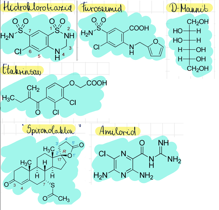 <p>furoszemid (Furon) <br>hidroklorotiazid (Hypothiazid) <br>etakrinsav (Uregyt) <br>amilorid <br>spironolakton (Verospiron) <br>mannit</p>