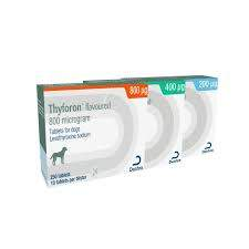<p>Lifelong medication (supplement thyroxine with synthetic T4)</p><p>Levothyroxine - Soloxine, Thyforon </p>