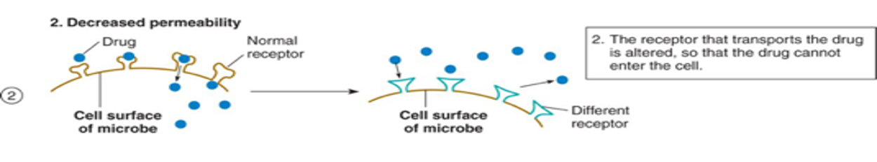 <p>uptake of the drug is decreased or stopped</p><p></p>