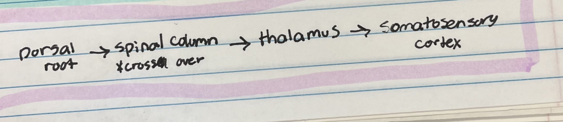 knowt flashcard image