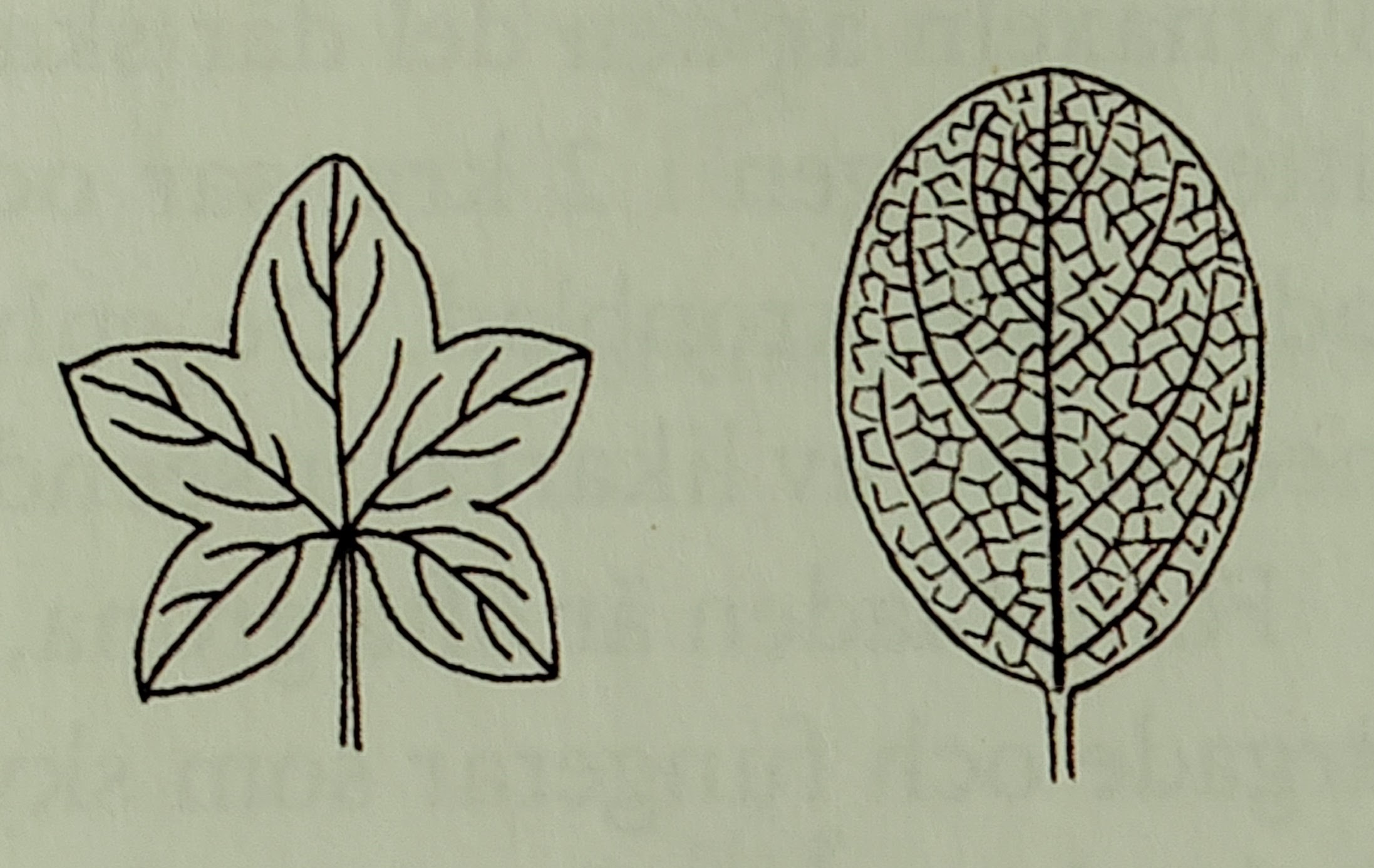 <p></p>