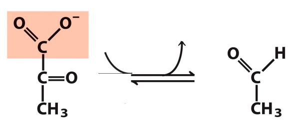 <p>What enzyme catalyzes this reaction? What are the intermediates, if any?</p>