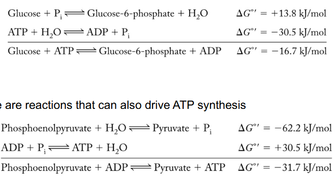 <p>Favorable metabolic reactions are used as a driving force to make unfavorable reactions proceed through a common intermediate.</p><p>ATP hydrolysis/synthesis</p>