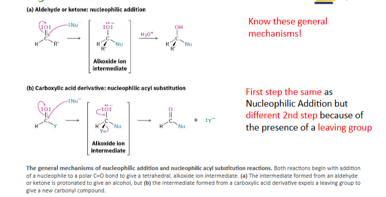 <ol><li><p>Nucleophile attacks the carbonyl carbon, the C=O pi electrons move onto oxygen, now you have a tetrahedral intermediate.</p></li><li><p>Carbonyl reforms: The oxygen lone pair moves back down to form C=O, at the same time, leaving group leaves.</p></li></ol><p><strong>General Rule for predicting products:</strong> Ask, what nucleophile am i adding? Then replace the leaving group with the Nucleophile</p>