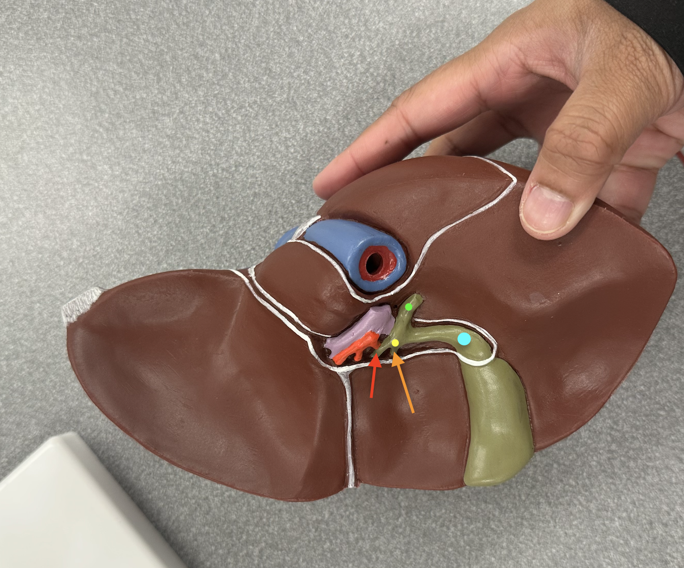 <p>Identify structures</p>