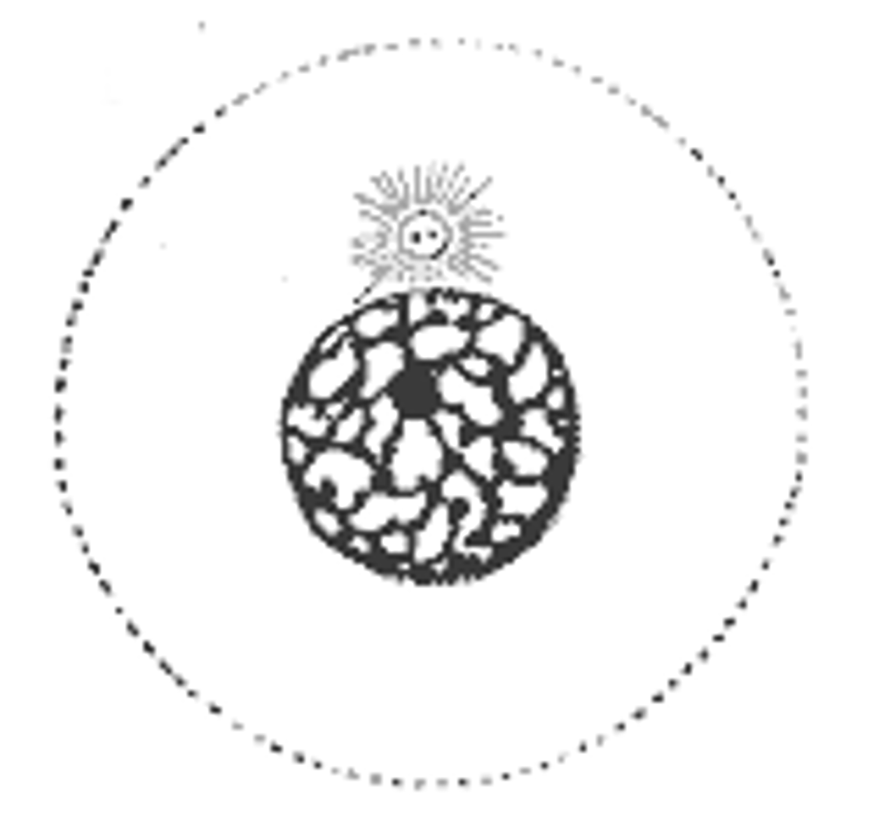 <p>Cell grows, performs its normal functions, and prepares for division</p>