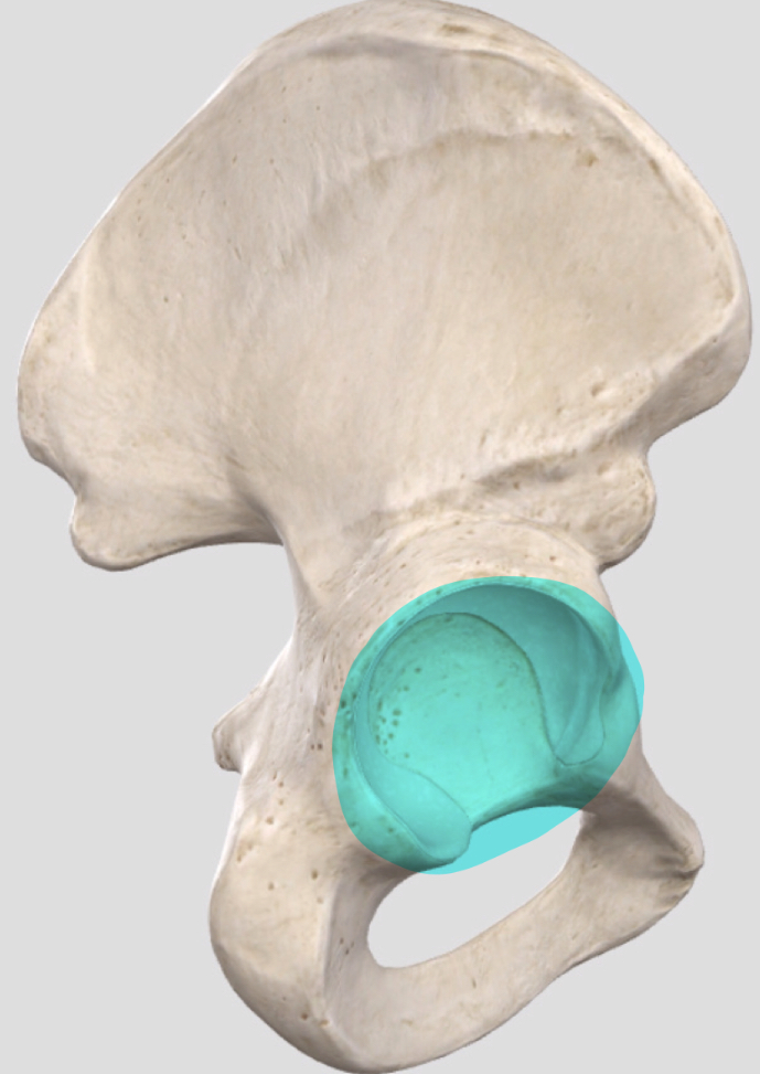 <p> </p>
