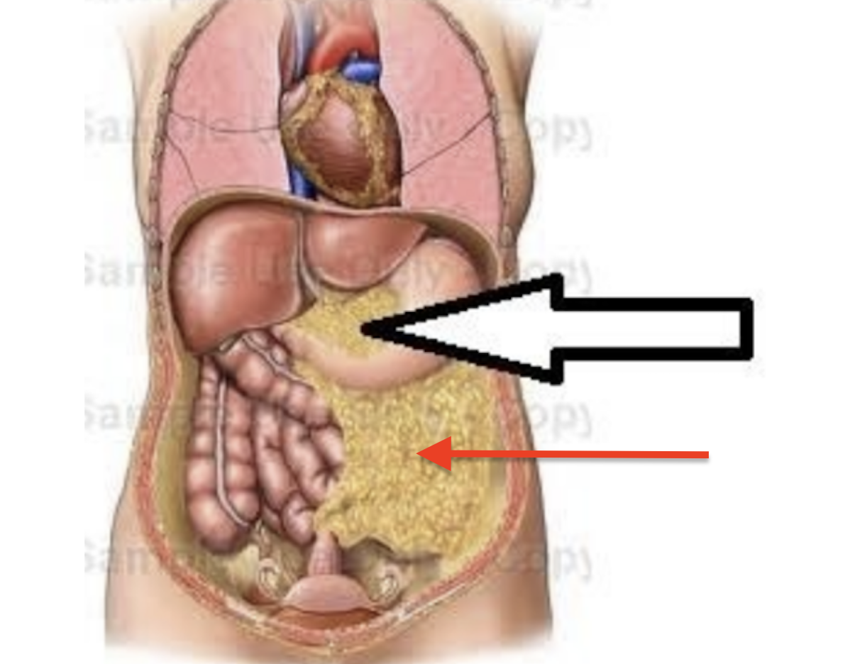 <p><span data-name="red_circle" data-type="emoji">🔴</span> arrow only</p>