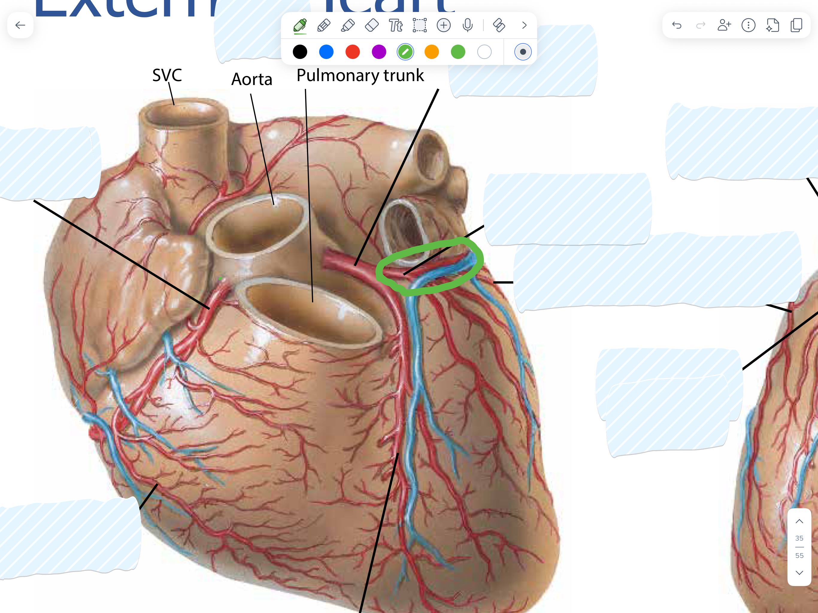 knowt flashcard image